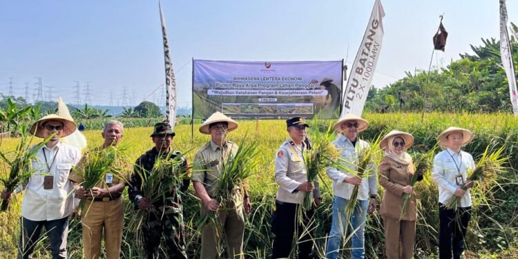 Wujudkan Ketahanan Pangan, BPI Bersama Dispaperta Panen Raya Padi di Lahan Pengganti