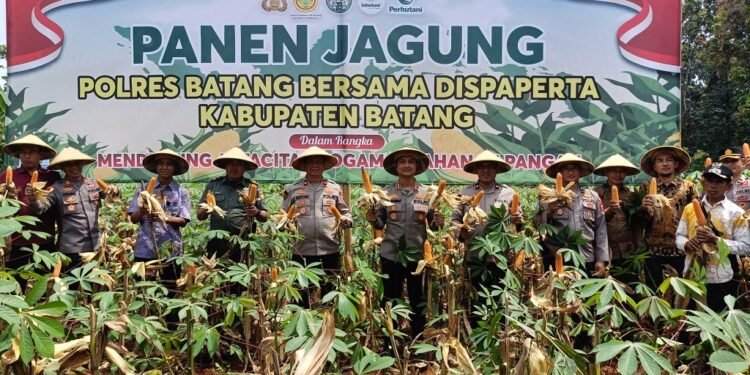 Sukses Panen Jagung, Polres Batang Segera Salurkan ke Bulog