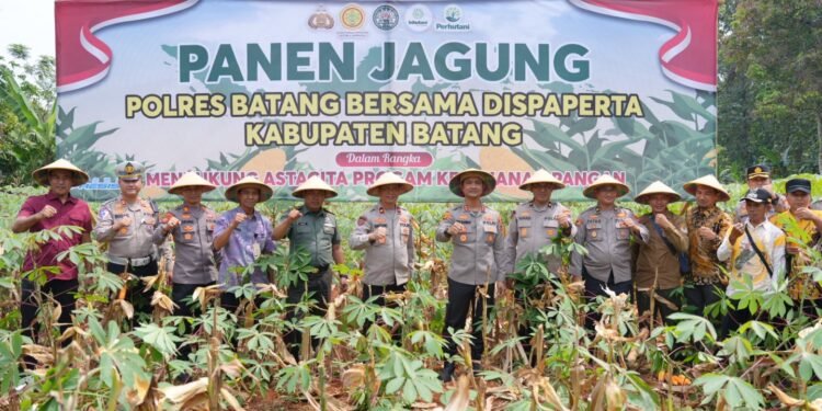 Polres Batang Panen Raya Jagung, Dukung Program Ketahanan Pangan Nasional