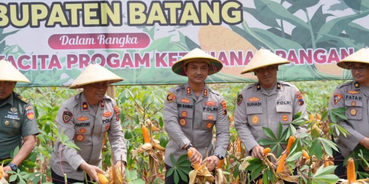 Polres Batang Panen Raya Jagung, Dukung Program Ketahanan Pangan Nasional