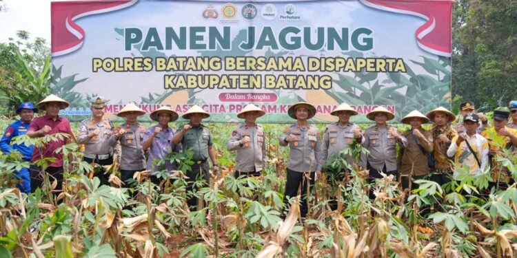 Polres Batang Panen Raya Jagung, Dukung Program Ketahanan Pangan Nasional