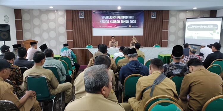 Jaga Populasi, Panitia Kurban Diminta Utamakan Jenis Pejantan