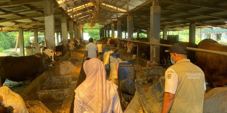 Jelang Iduladha, Penjualan Hewan Kurban Sepi Peminat