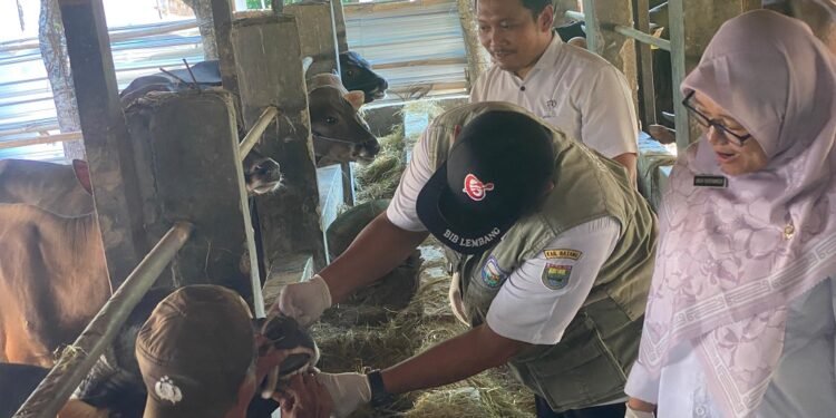 Pemeriksaan Hewan Kurban di Batang Digencarkan Jelang Iduladha