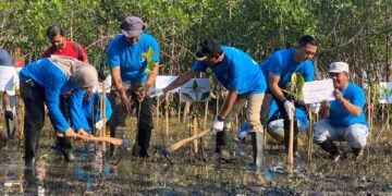 Cepatnya Tingkat Abrasi, Pemkab Batang Menggalakkan Rehabilitasi Pesisir Dengan Tanam Mangrove