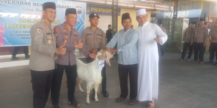 LKS YBPI Terima 1 Hewan Qurban Dari Kapolres Pekalongan Kota
