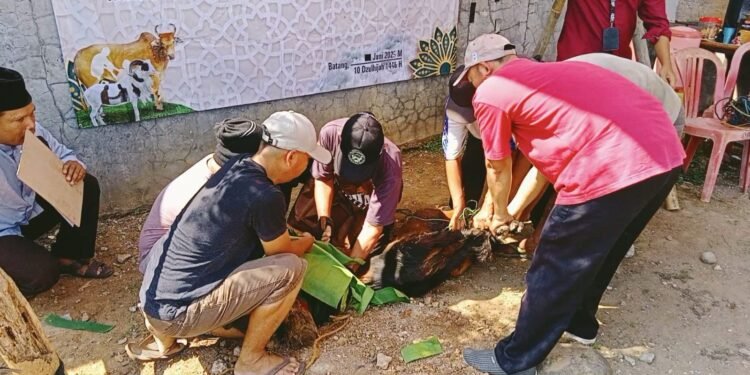 LKS YBPI Batang Gelar Qurban Bersama Masyarakat dan Anak Binaan