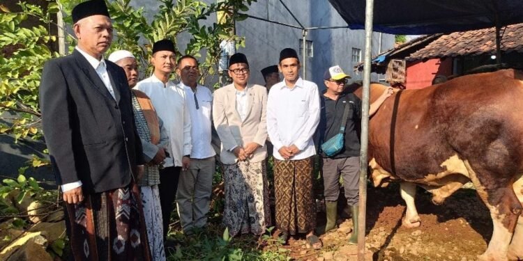 Dandim Dampingi Bupati Batang Serahkan Sapi Kurban Bantuan Presiden Prabowo