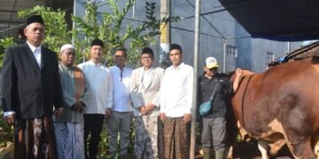 Sapi Kurban Presiden Prabowo, Sigemblung Diserahterimakan Bupati Batang