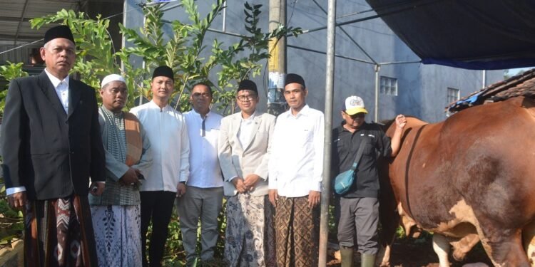 Sapi Kurban Presiden Prabowo, Sigemblung Diserahterimakan Bupati Batang