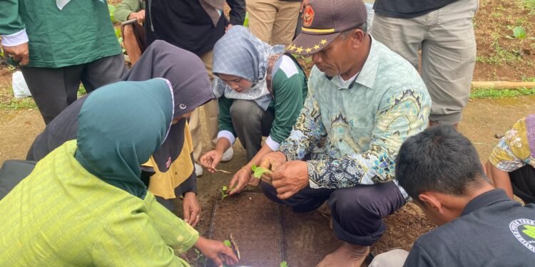 Tingkatkan Produktivitas, Bapeltan Jawa Tengah Gelar Bimtek Budidaya Tembakau