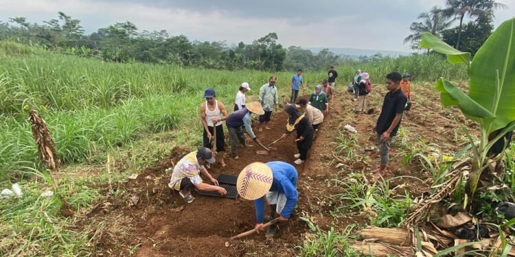 Tingkatkan Produktivitas, Bapeltan Jawa Tengah Gelar Bimtek Budidaya Tembakau