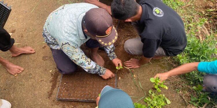 Tingkatkan Produktivitas, Bapeltan Jawa Tengah Gelar Bimtek Budidaya Tembakau