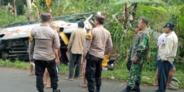 Babinsa Koramil Subah Bantu Evakuasi Bus Pariwisata Yang Terguling di Desa Bandung Pecalunga