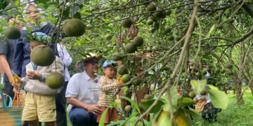 Potensi PAD, Bupati Batang Ingin Agroeduwisata Clapar Petik Jeruk Dapat Dijadikan BUMD
