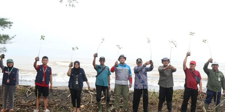Lestarikan Pesisir Roban Timur, PLTU Batang Tanam Ribuan Mangrove