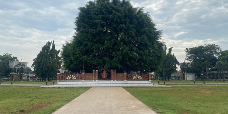 Pemkab Akan Revitalisasi Alun-Alun Batang Sekitar Pohon Beringin