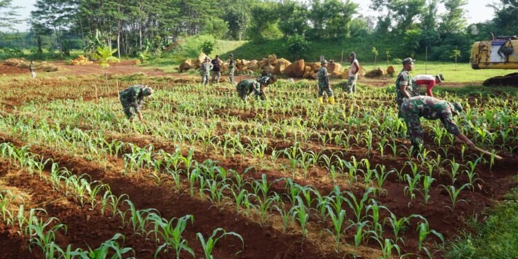 Sulap Lahan Tidur, Untuk Ketahanan Pangan