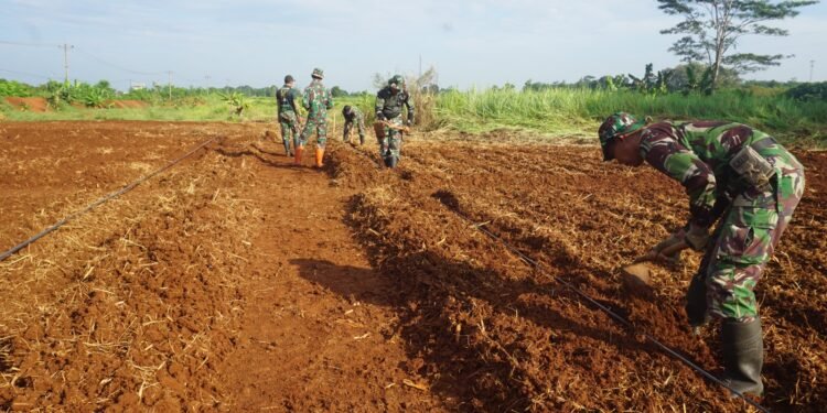 Sulap Lahan Tidur, Untuk Ketahanan Pangan