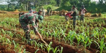 Sulap Lahan Tidur, Untuk Ketahanan Pangan