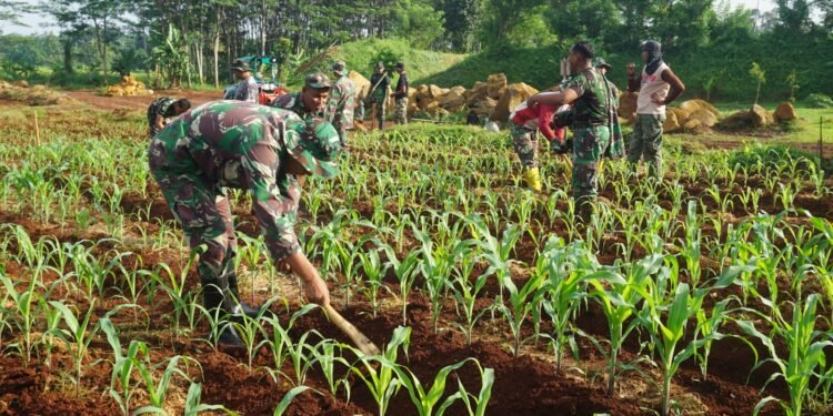 Sulap Lahan Tidur, Untuk Ketahanan Pangan