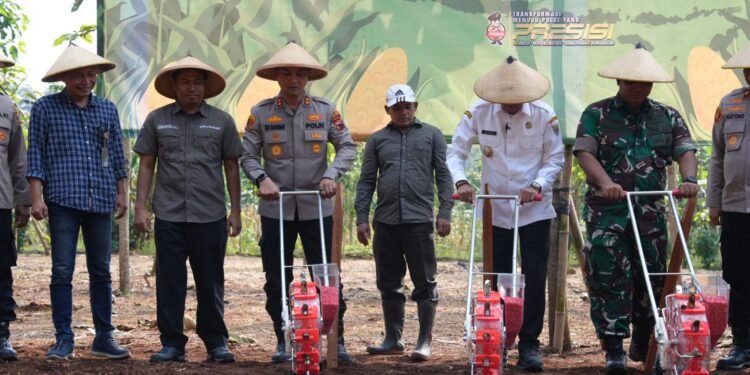 Polres Batang Tanam Jagung Serentak, Dorong Ketahanan Pangan di Lahan Perhutani