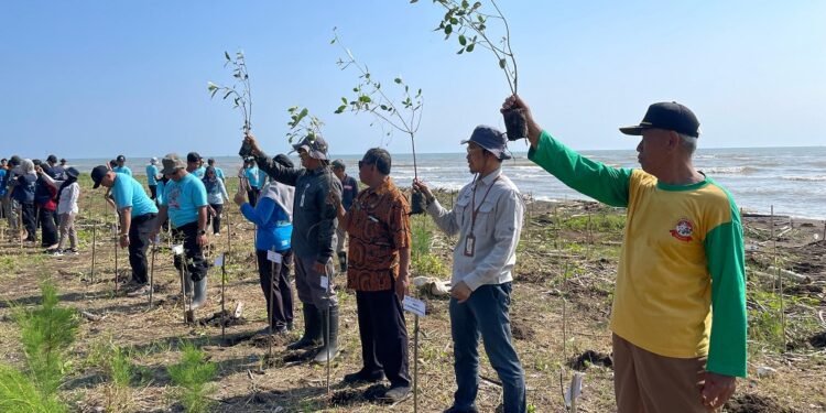 Lestarikan Ekosistem Pesisir, PLTU Batang Tanam 2.000 Mangrove Avicennia di Roban Timur
