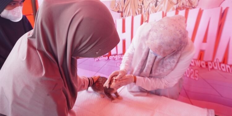 Cegah Rabies, Pemkab Batang Giat Lakukan Vaksinasi Hewan Gratis