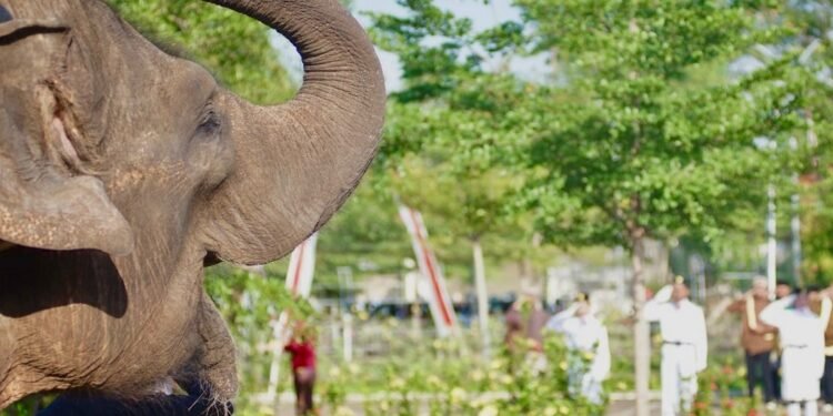 Satwa Jadi Peserta Istimewa Upacara HUT Ke-80 Kemerdekaan RI di Batang