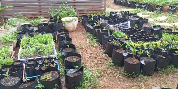 YBPI Kab. Batang Gelar Pelatihan Pembuatan Pupuk Organik dengan Konsep GERDULIRUTA