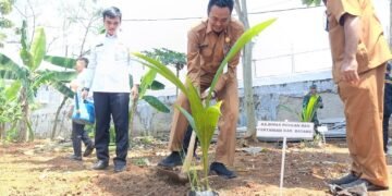 Dukung Ketahanan Pangan, Lapas Batang Tanam Ratusan Bibit Kelapa