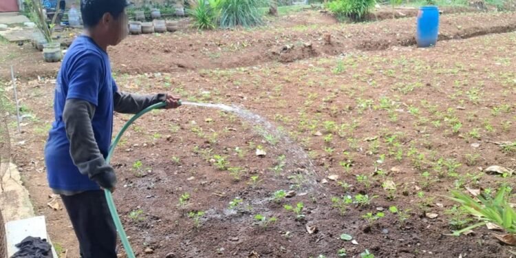 Lapas Batang Bekali Warga Binaan jadi Petani Milenial