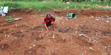 Lapas Batang Bekali Warga Binaan jadi Petani Milenial