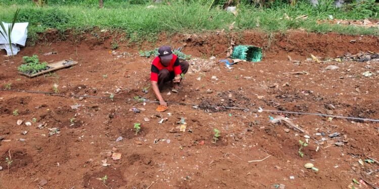 Lapas Batang Bekali Warga Binaan jadi Petani Milenial