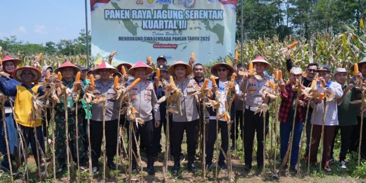 Panen Raya Jagung Serentak Digelar di Batang, Kapolres Turun ke Sawah