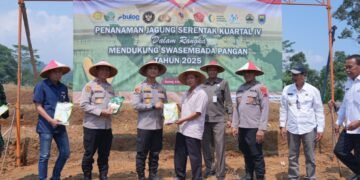 Aksi Nyata Korps Bhayangkara: 1,2 Hektare Lahan di Batang Disulap Jadi Kebun Jagung