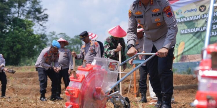 Aksi Nyata Korps Bhayangkara: 1,2 Hektare Lahan di Batang Disulap Jadi Kebun Jagung