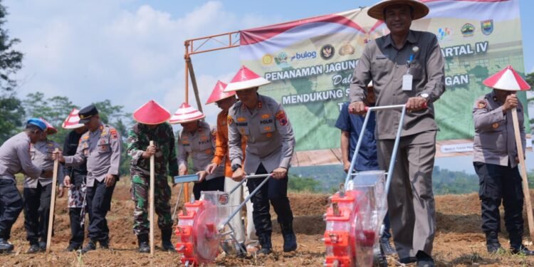 Aksi Nyata Korps Bhayangkara: 1,2 Hektare Lahan di Batang Disulap Jadi Kebun Jagung