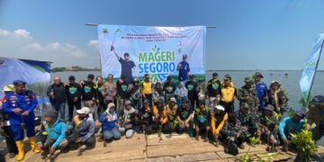 Tangani Rob dan Abrasi, 1,3 Juta Bibit Mangrove Ditanam di Batang dalam Program Mageri Segoro