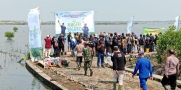 Pemukiman Warga Batang Terancam, DLH Batang Tanam Bibit Mangrove
