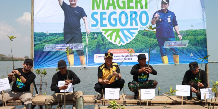 Cegah Abrasi Semakin Parah, Pemkab Batang bersama TNI Polri Tanam Ribuan Bibit Mangrove di Denasri Kulon