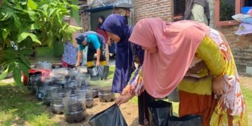 Dari Pekarangan, Warga Batang Bangun Kemandirian Pangan