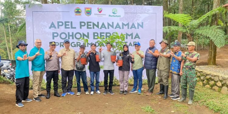 Peringatan HMPI, PLTU Batang Dukung Penanaman 500 Pohon di Desa Tombo