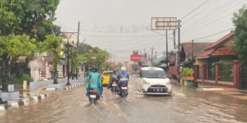 Waspada Puncak Hujan, BPBD Batang Petakan Rawan Longsor dan Banjir