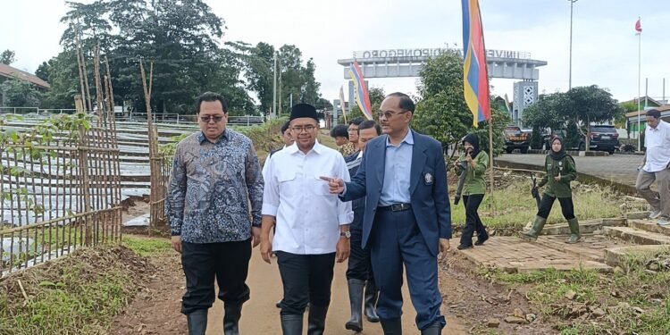 Undip Gandeng Indomaret Perluas Pasar Kelengkeng Khas Batang