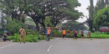 Waspada Cuaca Ekstrem, Camat Subah Pimpin Operasi Pangkas Pohon di Jalur Pantura