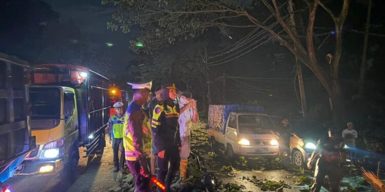 Kapolres Batang Pimpin Evakuasi Jalur Pantura Setelah Diterjang Angin Kencang