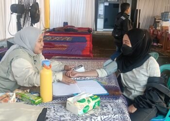 Layanan Kesehatan Paling Diminati Pemudik