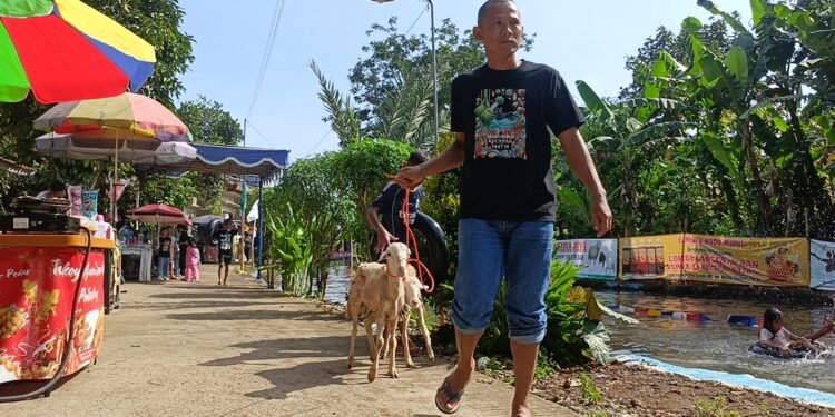 Langenan Ban Kecepak, Ajang Edukasi Sembari Berebut Kambing