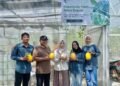 Siap Jadi Ikon Desa, Panen Kedua Melon BUMDes Depok Capai Hasil Lebih Baik